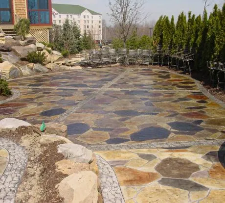 1772114916-ccd 1105.webp